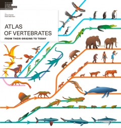 Atlas of Vertebrates