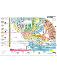 Atlas des vertébrés - Poster