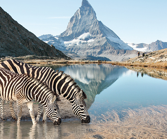 Le Cervin les pieds dans l’eau